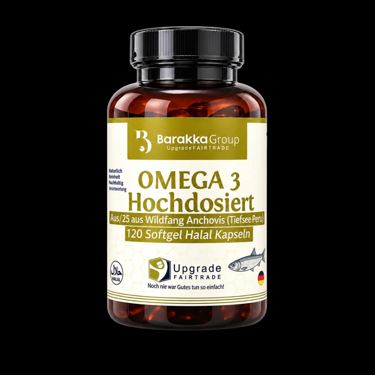 Omega-3 hochdosiert aus Wildfang-Anchovis – EPA & DHA | 120 Kapseln
